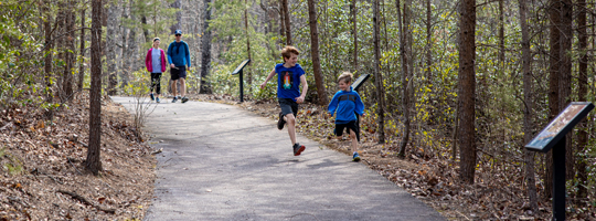 Greenway and trail design