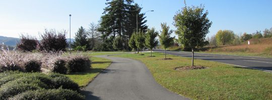 WhatWeDo_Greenway_540×200