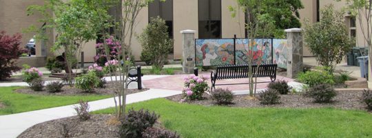 WhatWeDo_UrbanPublic_540×200