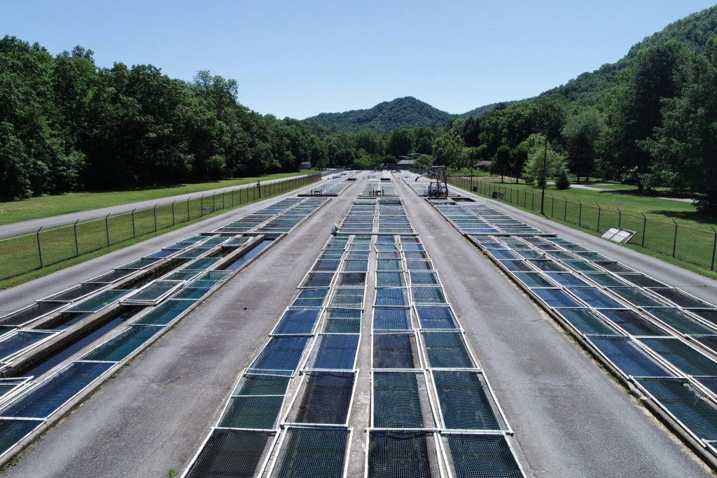 Collaborative Designs at Bobby N. Setzer Fish Hatchery