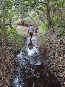 People cleaning stream