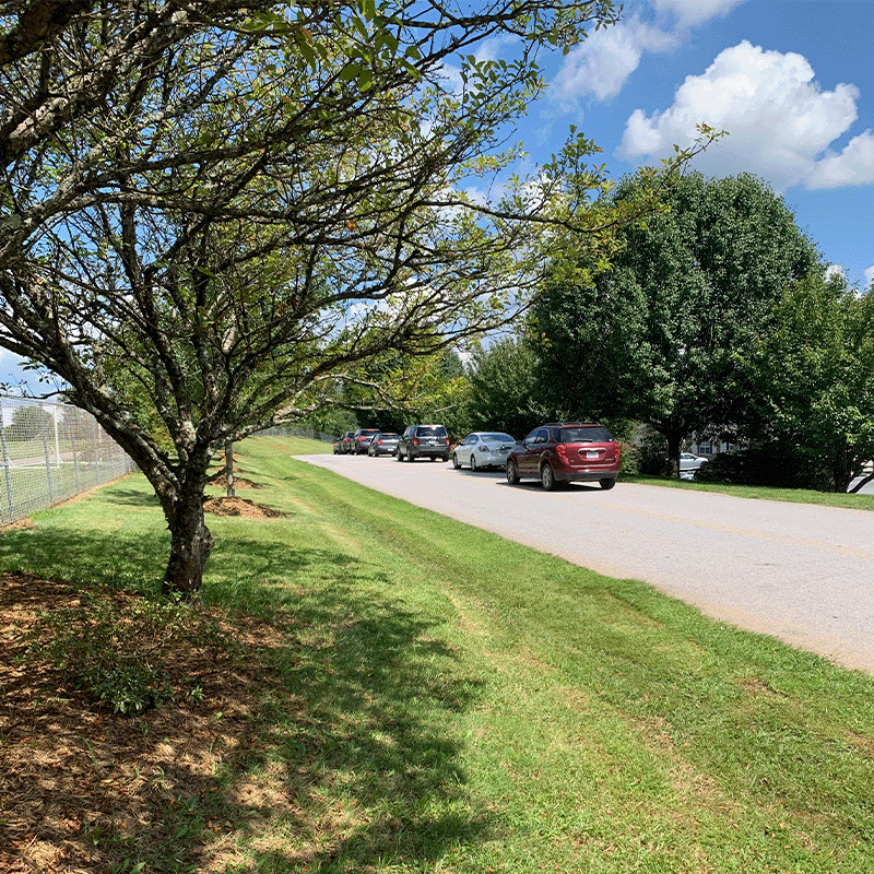 avery creek