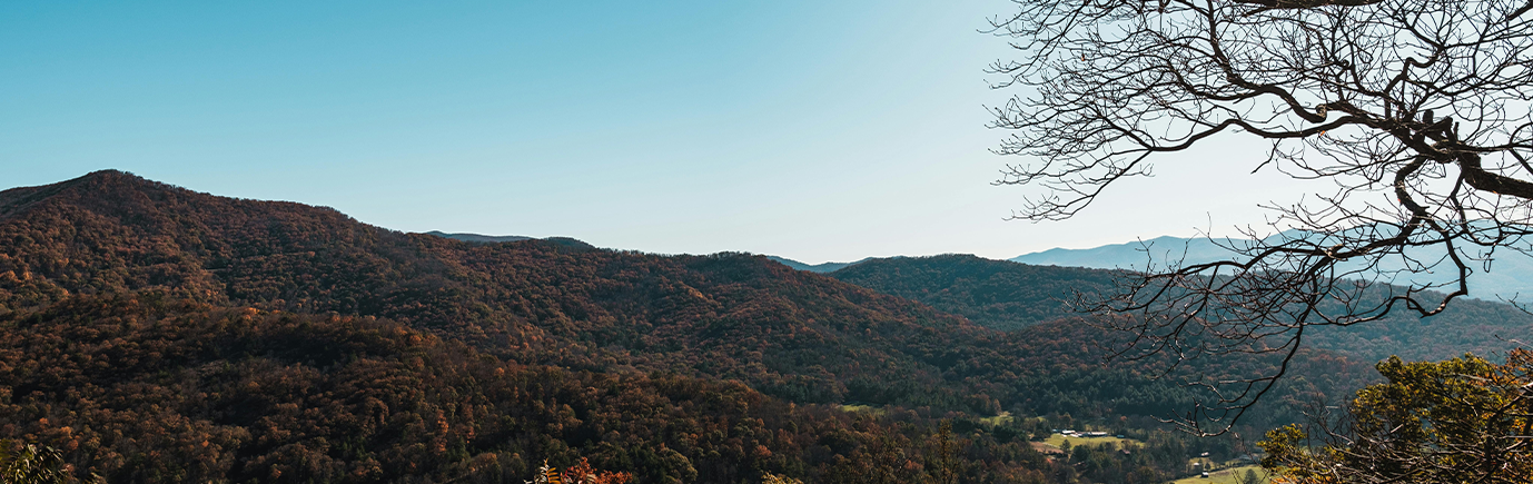 helene header
