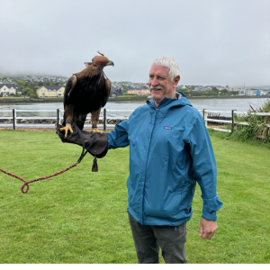 Former City Manager Mitch Moore wearing a leather falconry glove and serving as a perch for a golden eagle.